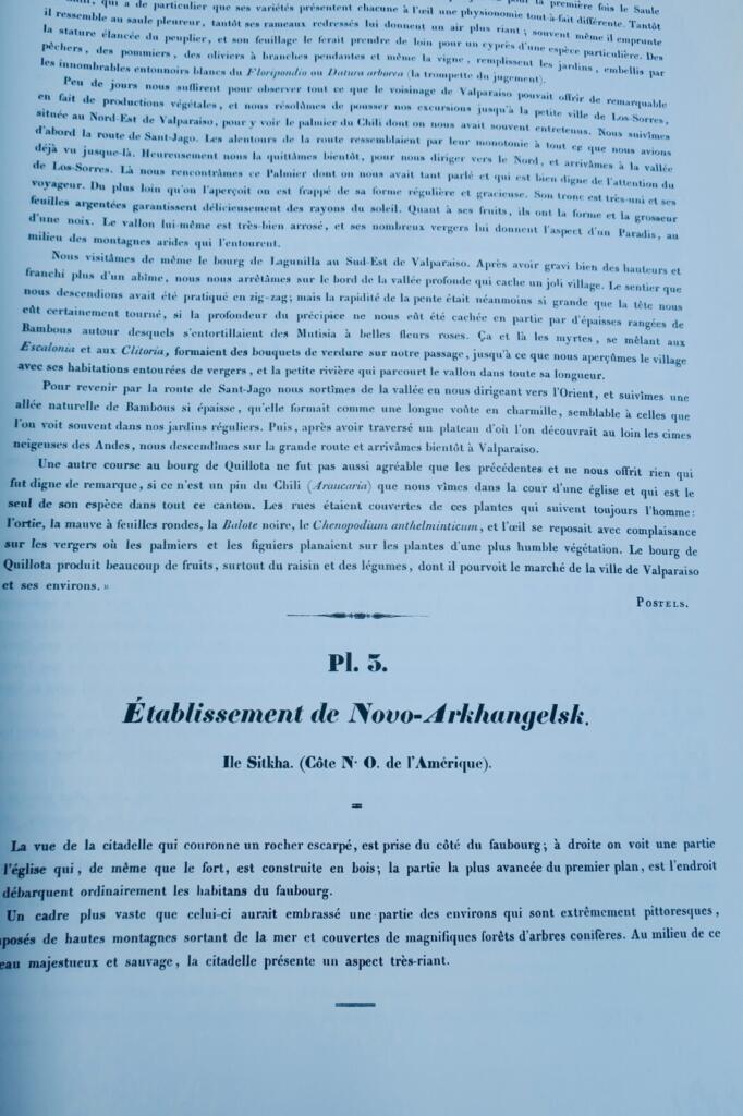 ルートケ フレデリック 1797-1882 世界周航記