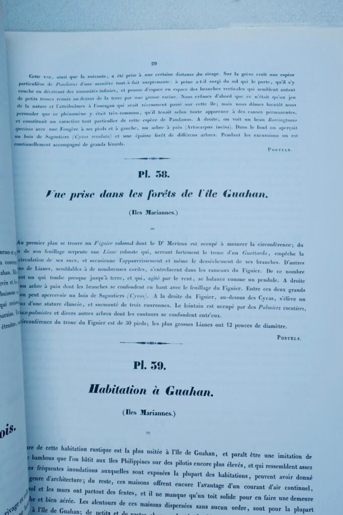 ルートケ フレデリック 1797-1882 世界周航記