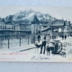 Hundeschlitten in Luzern