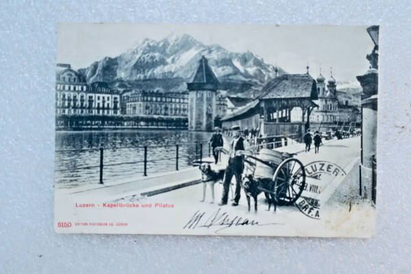 Luzern Charette à chien KAPELLBRÜCKE