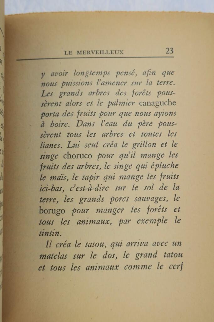 Surrealist exploration of the marvelous