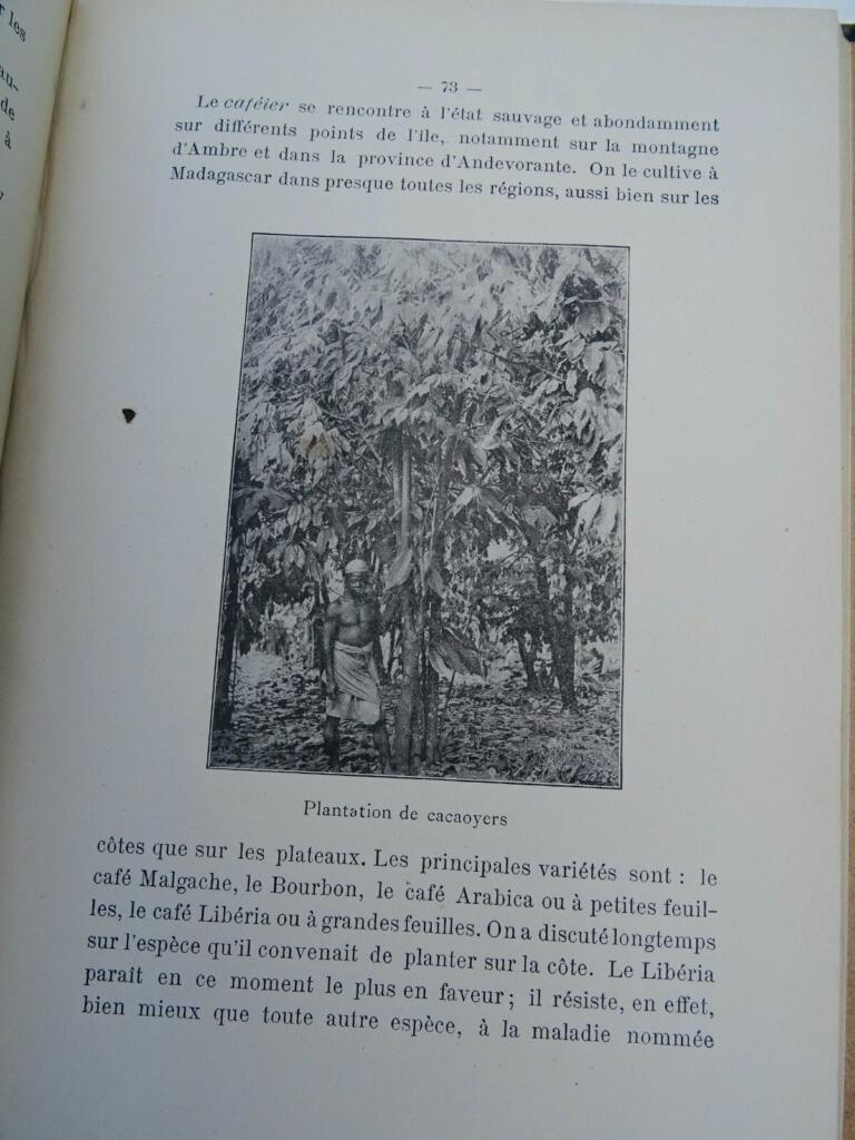 Madagascar exposition universelle de 1900 colonies et pays de protectorats