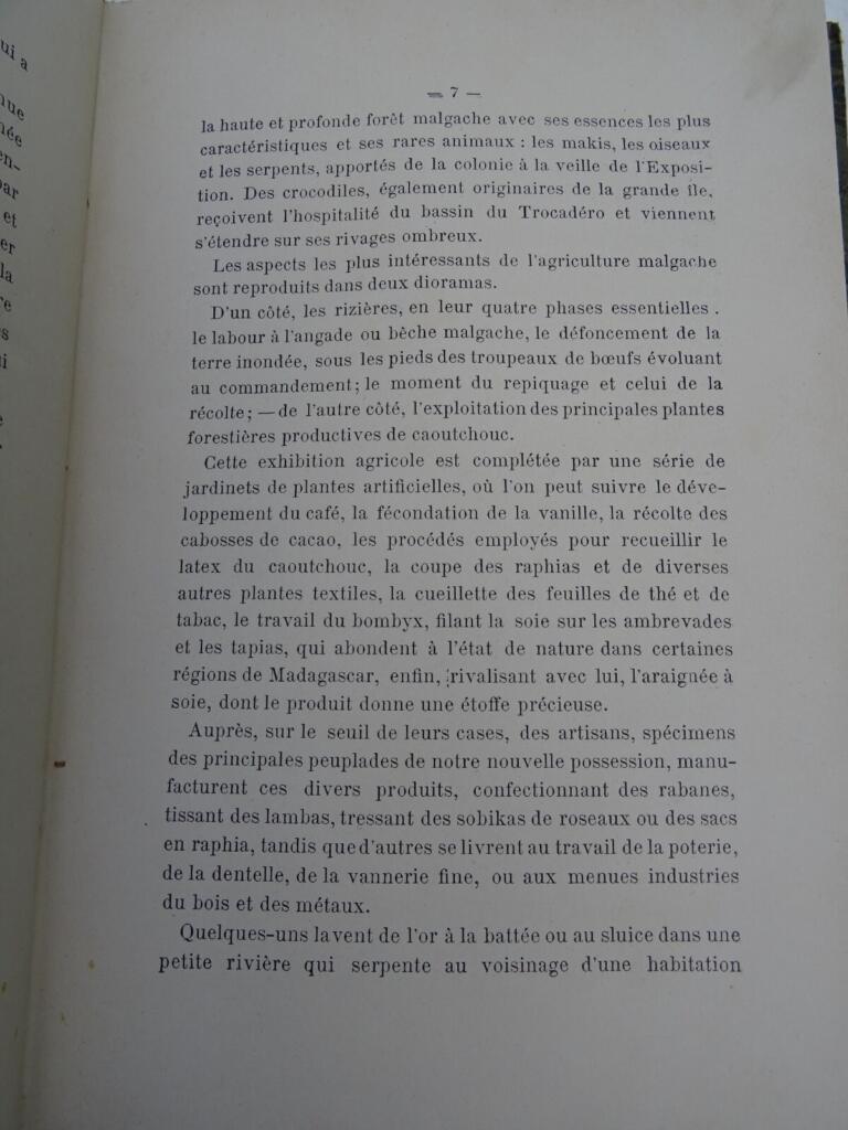 1900 World Exposition Overview