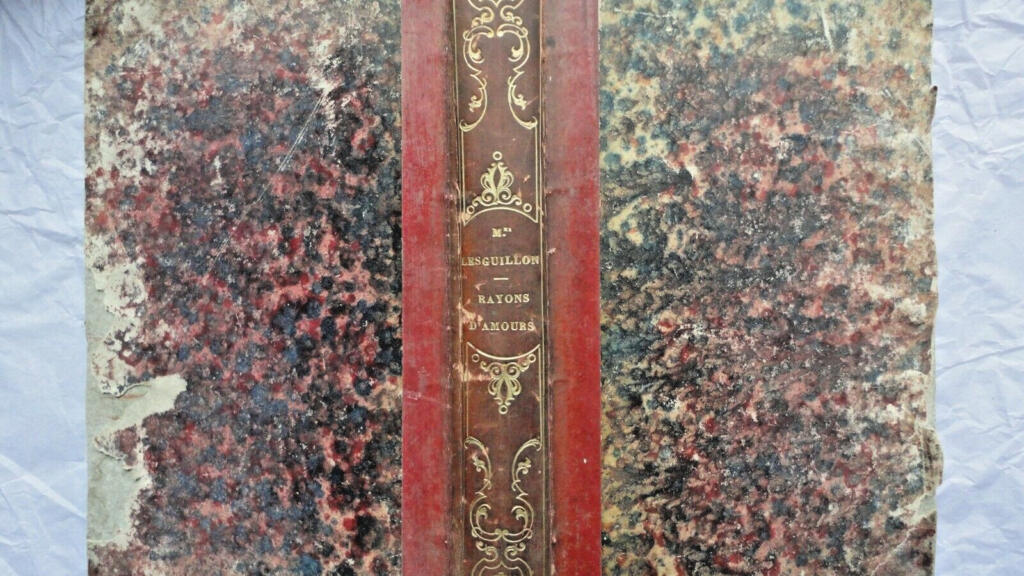 Love's Radiance - Poetry Collection