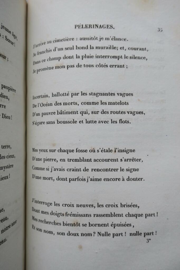 Zwei französische Literaturwerke des 19. Jahrhunderts