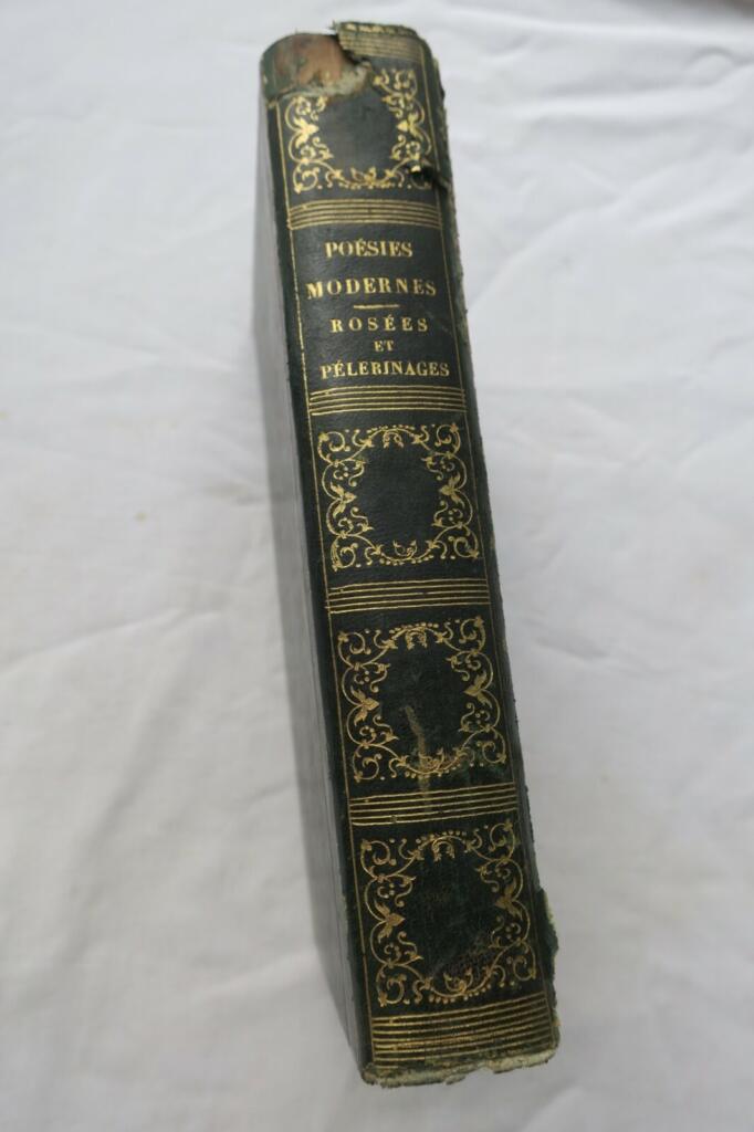 Zwei französische Literaturwerke des 19. Jahrhunderts