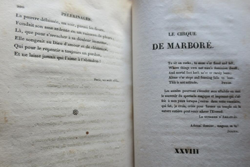 Zwei französische Literaturwerke des 19. Jahrhunderts