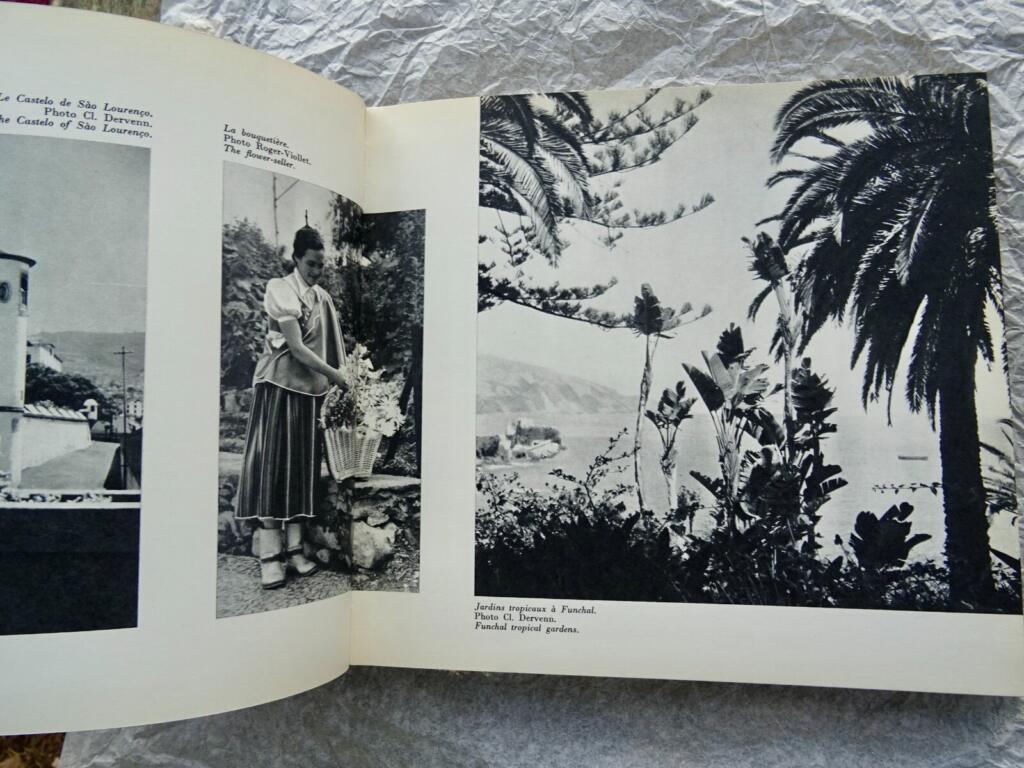 Madeira photography and travel guide