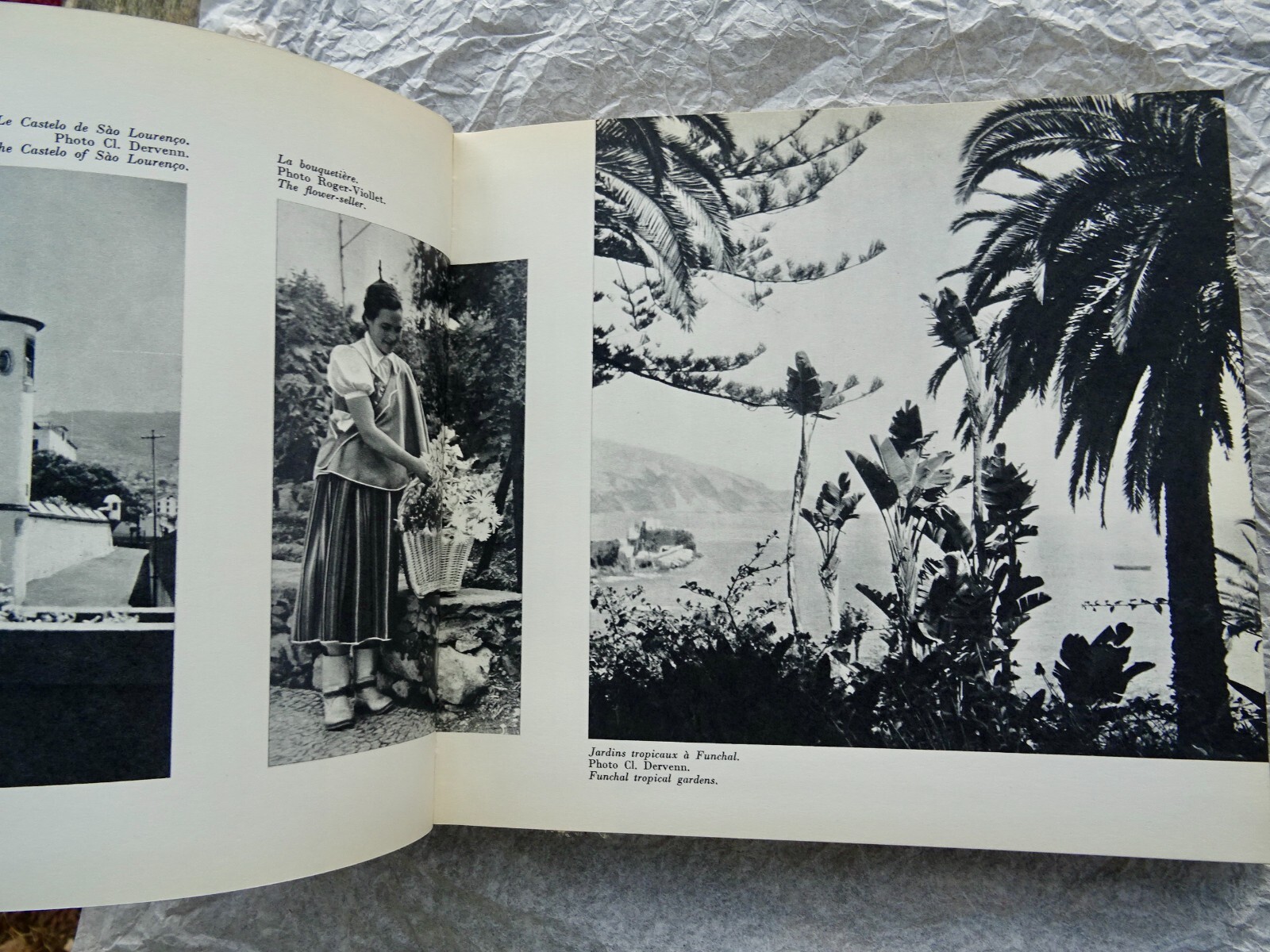 Entdeckung von Madeira - Image 7