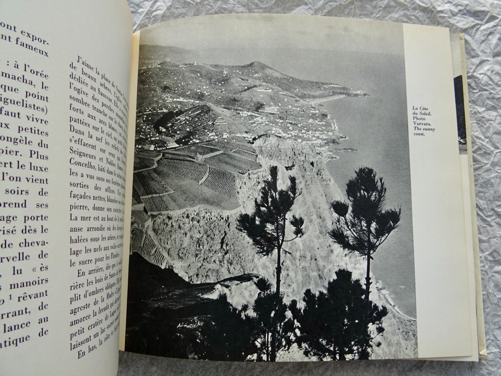 Entdeckung von Madeira - Image 4