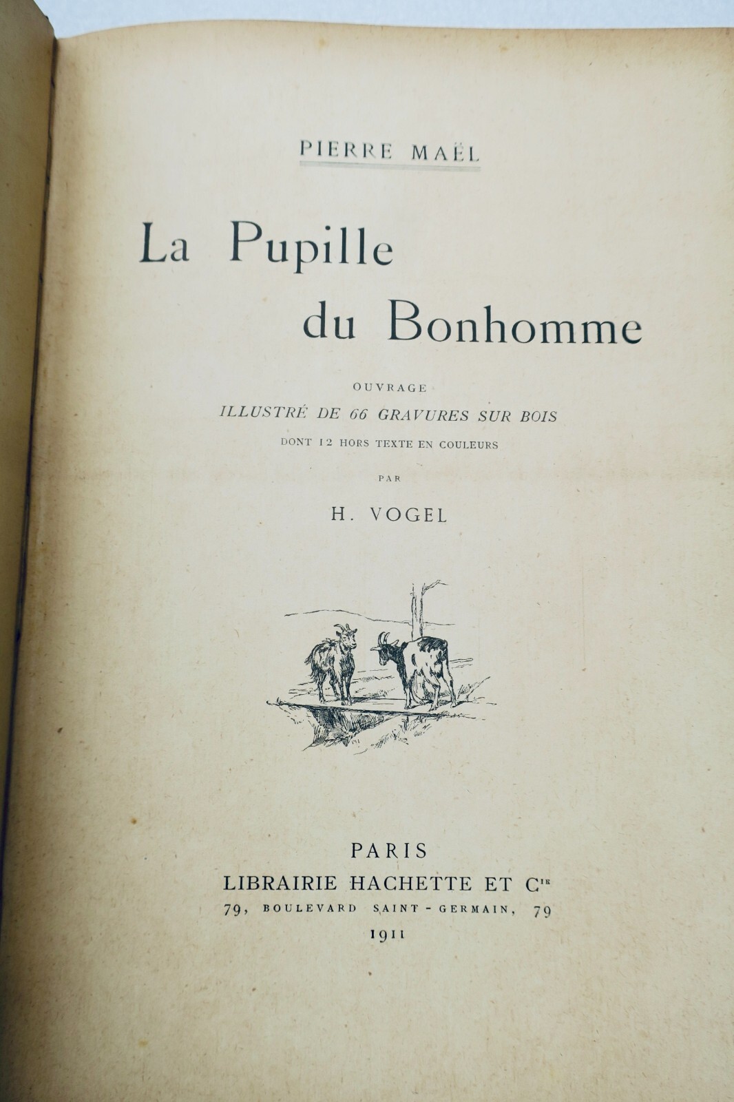 The Bonhomme's Ward - Illustrated Edition - Image 10
