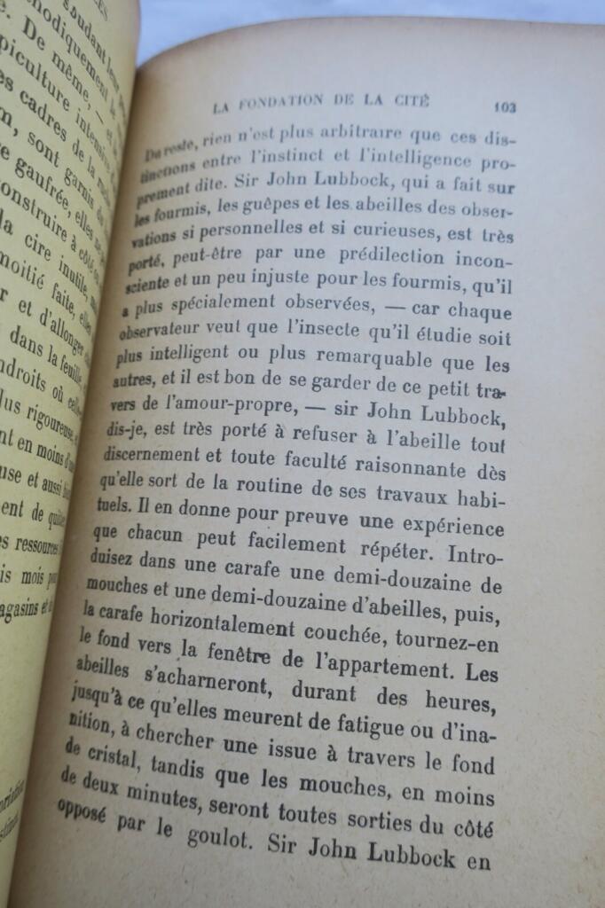 The Life of Bees with Author's Dedication