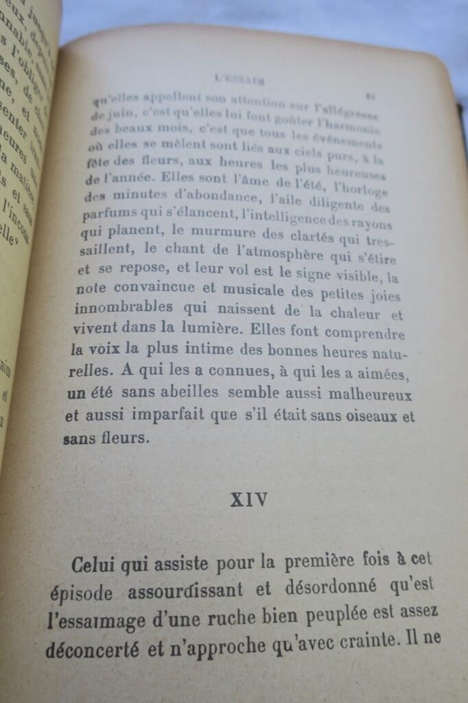 The Life of Bees with Author's Dedication