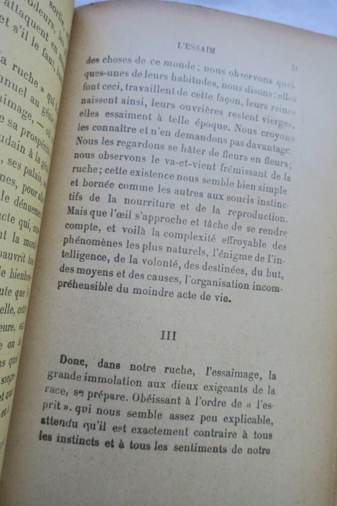 The Life of Bees with Author's Dedication