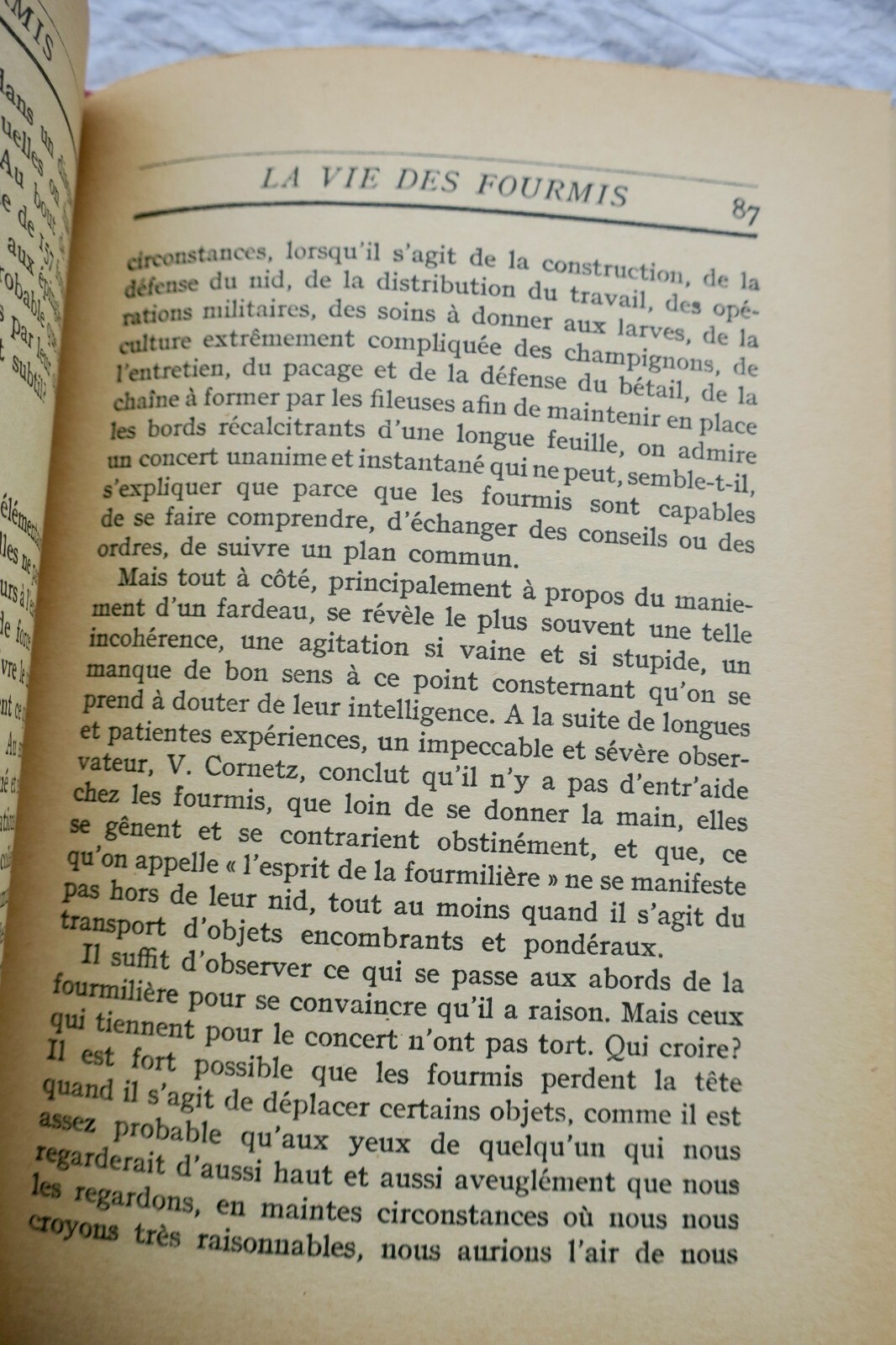 Studie des Ameisenlebens<span class="lla-card-orig-wrap"><span class="lla-card-orig">❦ MAETERLINCK MAURICE. LA VIE DES FOURMIS- LE LIVRE DE DEMAIN</span></span> - La Librairie Antique