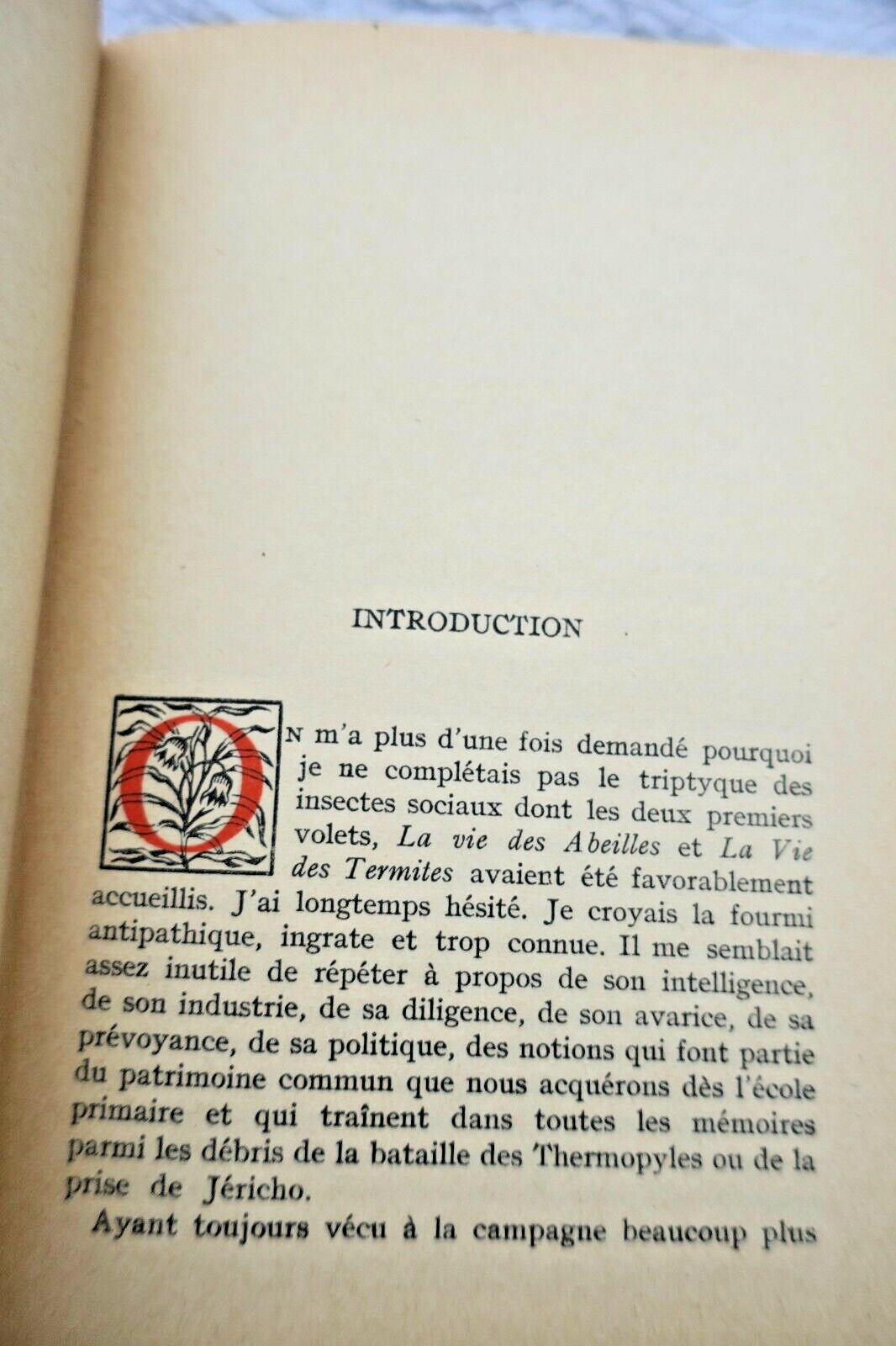 Studie des Ameisenlebens - Image 5