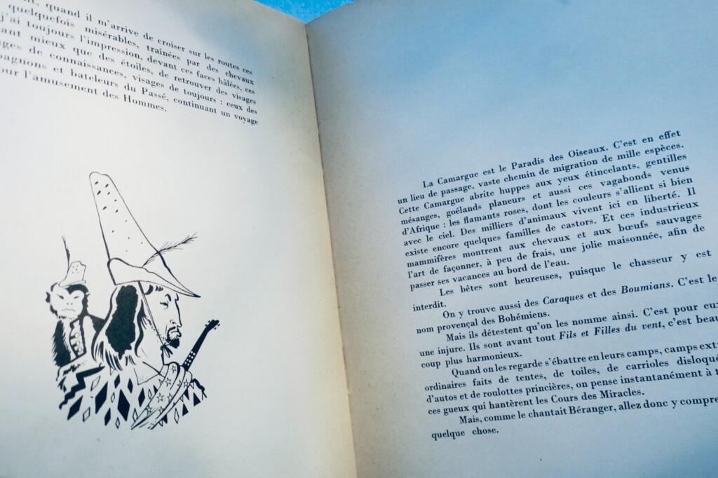 Gypsy Magic: Illustrated Study