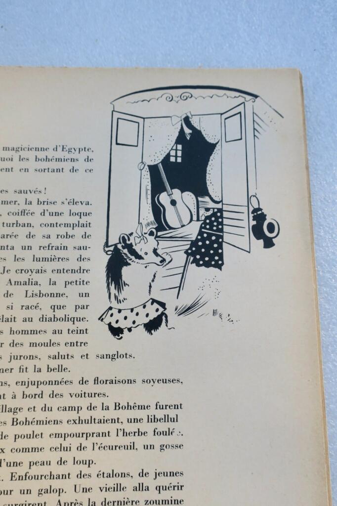 Gypsy Magic: Illustrated Study