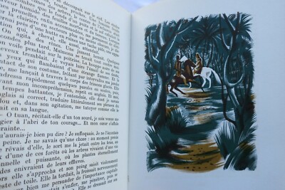 Color wood engravings by Tautel - Image 4