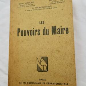 The Role of the Mayor in Local Governance