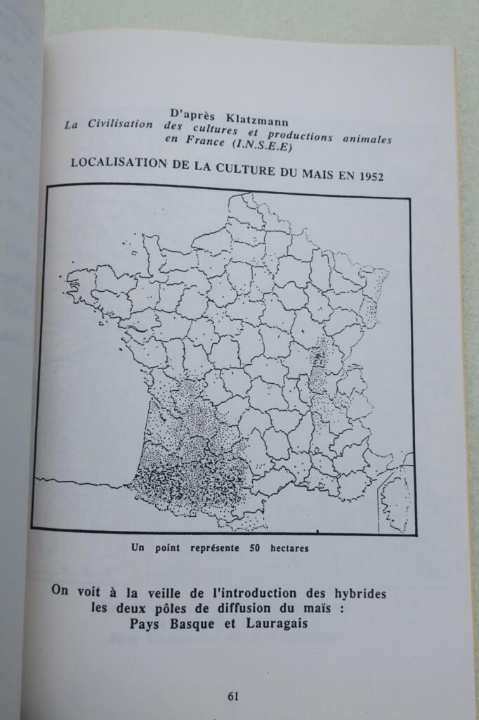 Mais: Von präkolumbianischer Amerika zur modernen Gascogne