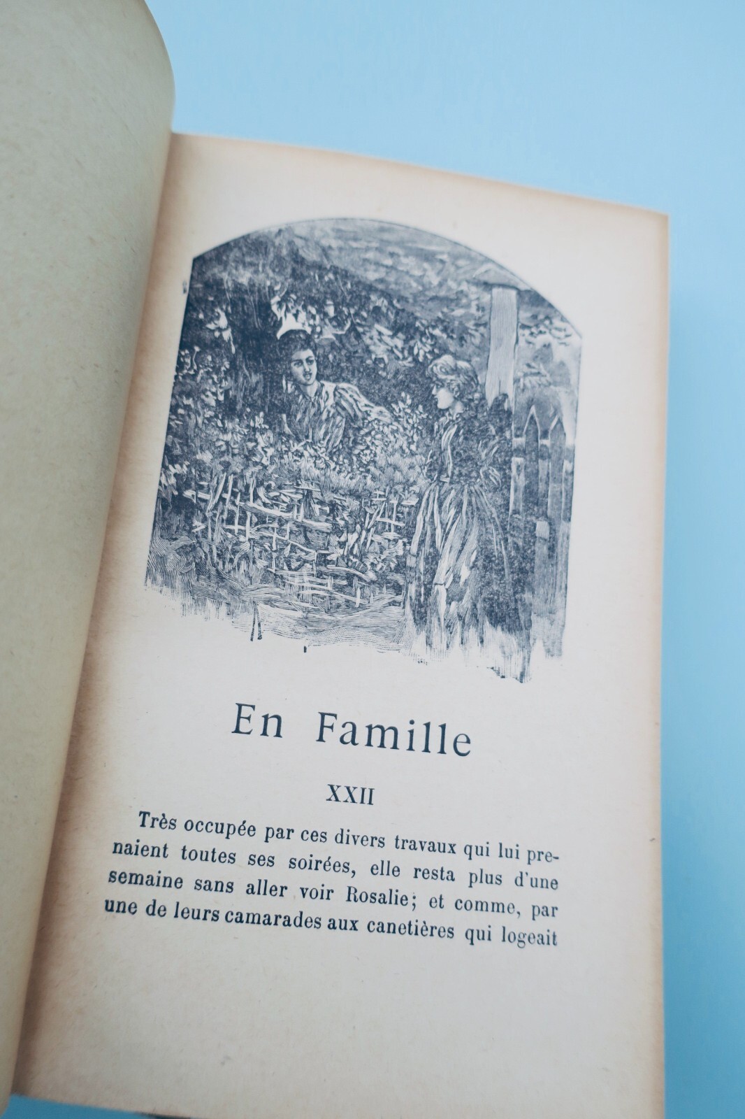 MALOT HECTOR En famille & sans famille – Image 12