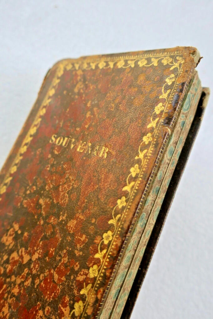 Handbuch für den Mann von gutem Ton und Gesellschaftszeremoniell