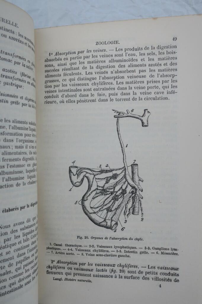 Handbuch der Naturgeschichte
