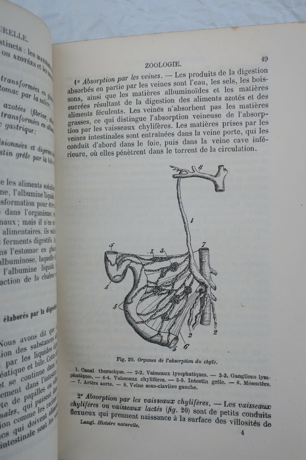 Natural History Manual - Image 4