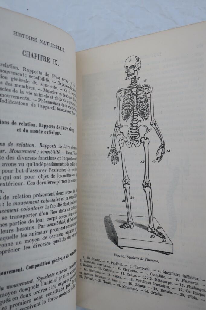 Handbuch der Naturgeschichte