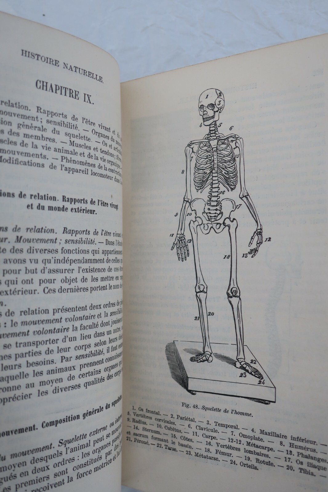 Natural History Manual - Image 3