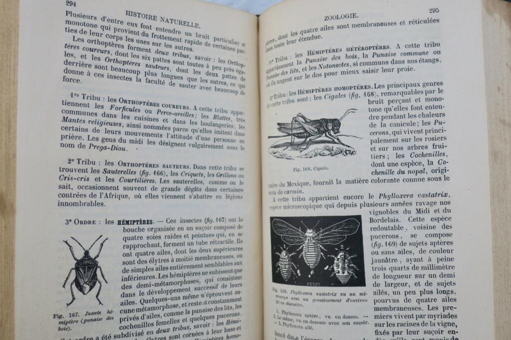 Handbuch der Naturgeschichte