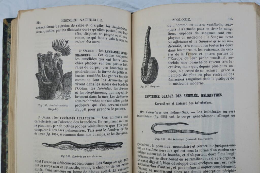 Handbuch der Naturgeschichte