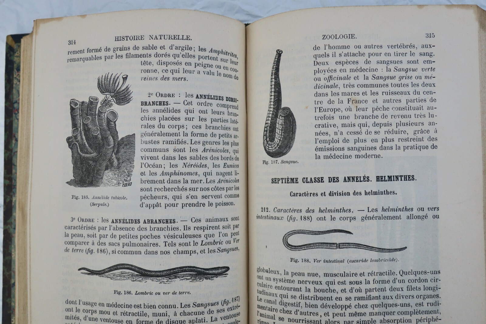 Natural History Manual - Image 6