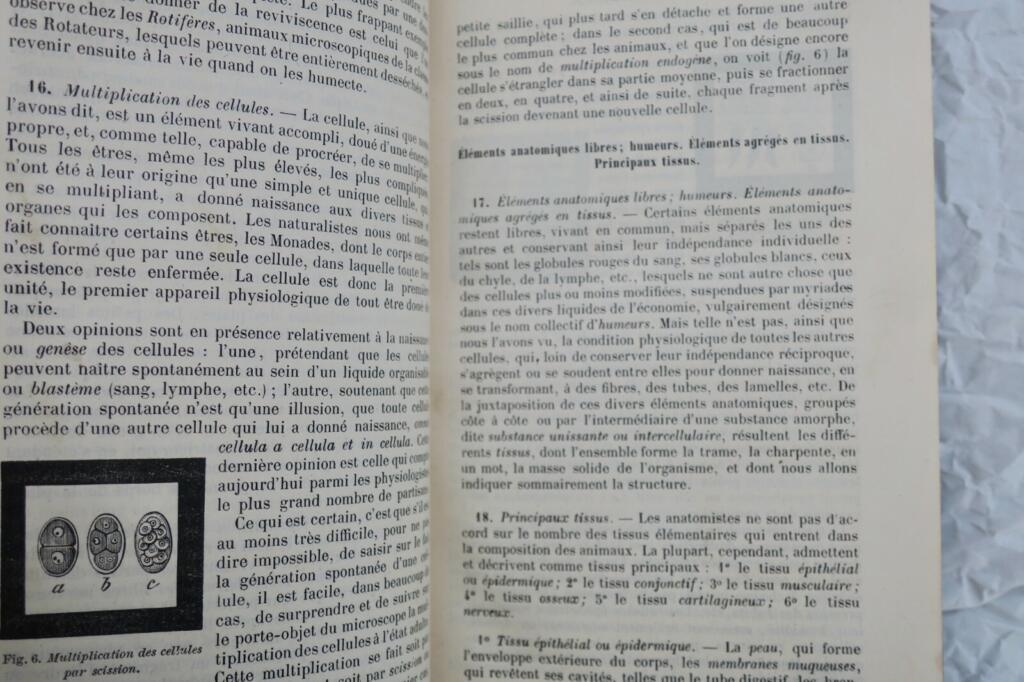 Handbuch der Naturgeschichte
