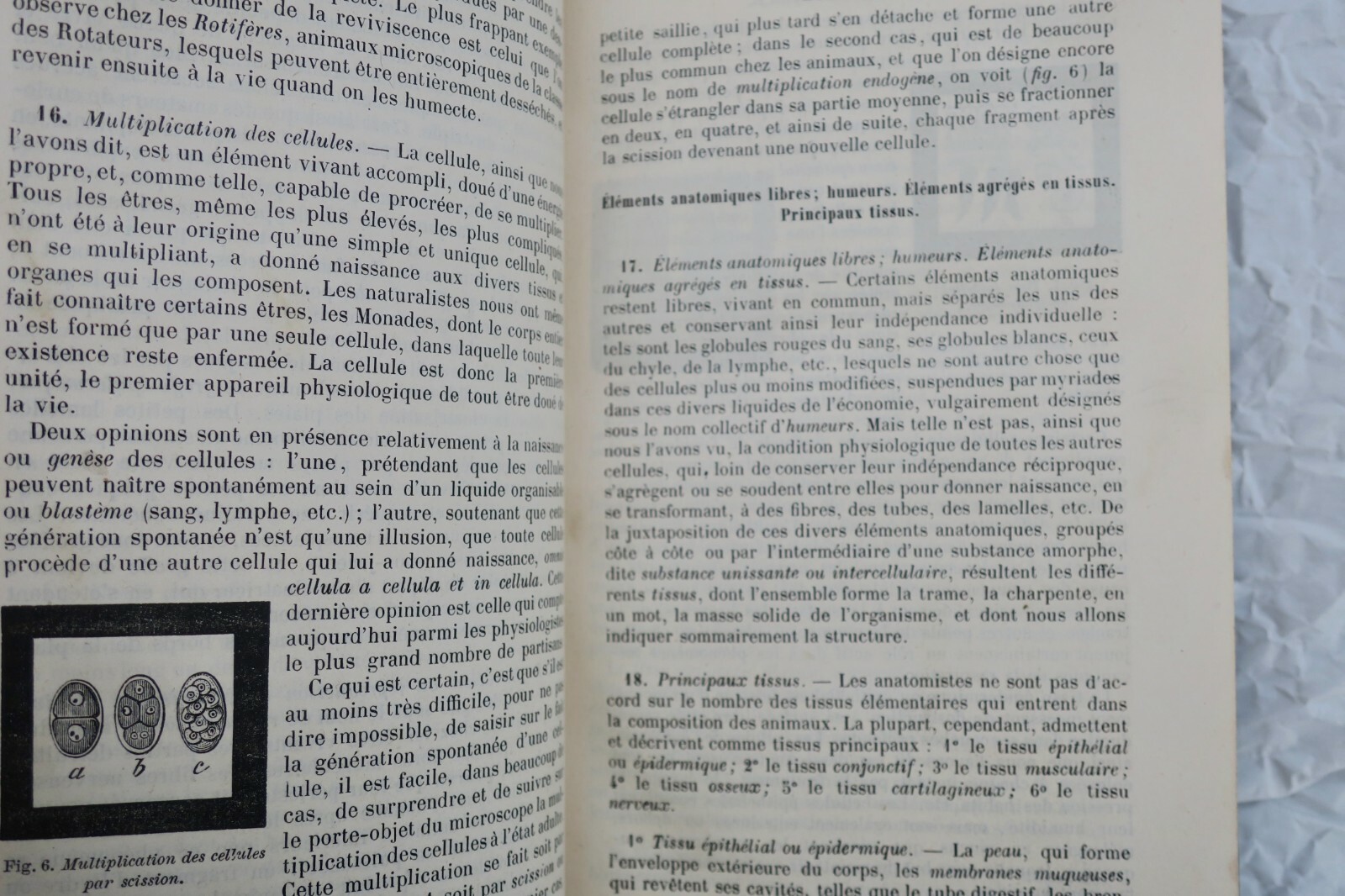 Natural History Manual - Image 5