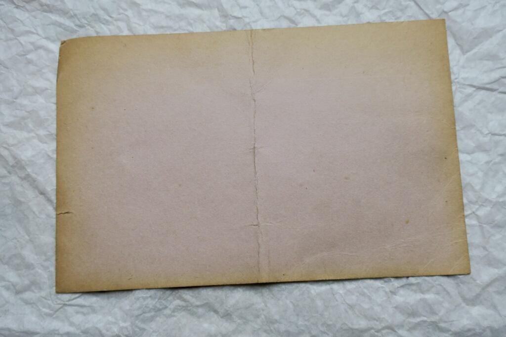 Marshal Joffre death announcement 1931