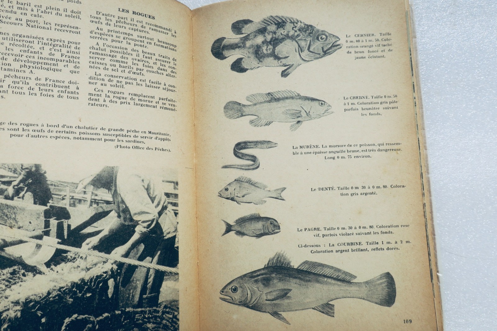 Schifffahrtsalmanach und Handelsmarineverzeichnis<span class="lla-card-orig-wrap"><span class="lla-card-orig">❦ marine Almanach du marin, 1942</span></span> - La Librairie Antique