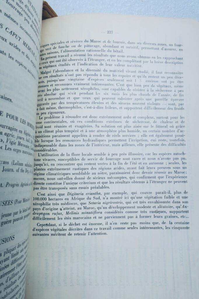 maroc plantes fourrageres au Maroc 1934