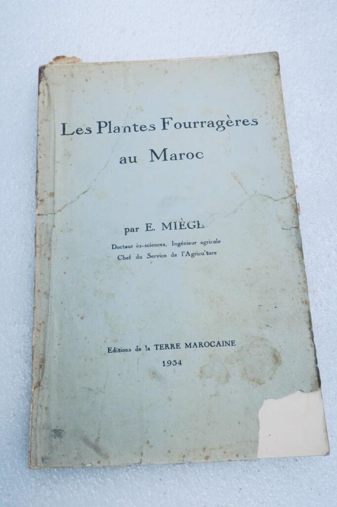 maroc plantes fourrageres au Maroc 1934