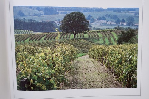Cognac from Martell - Image 6