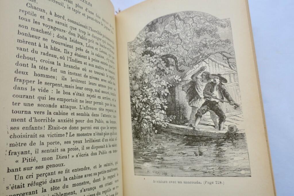 MAYNE REID CAPITAINE LES EXILES DANS LA FORET bib. rose