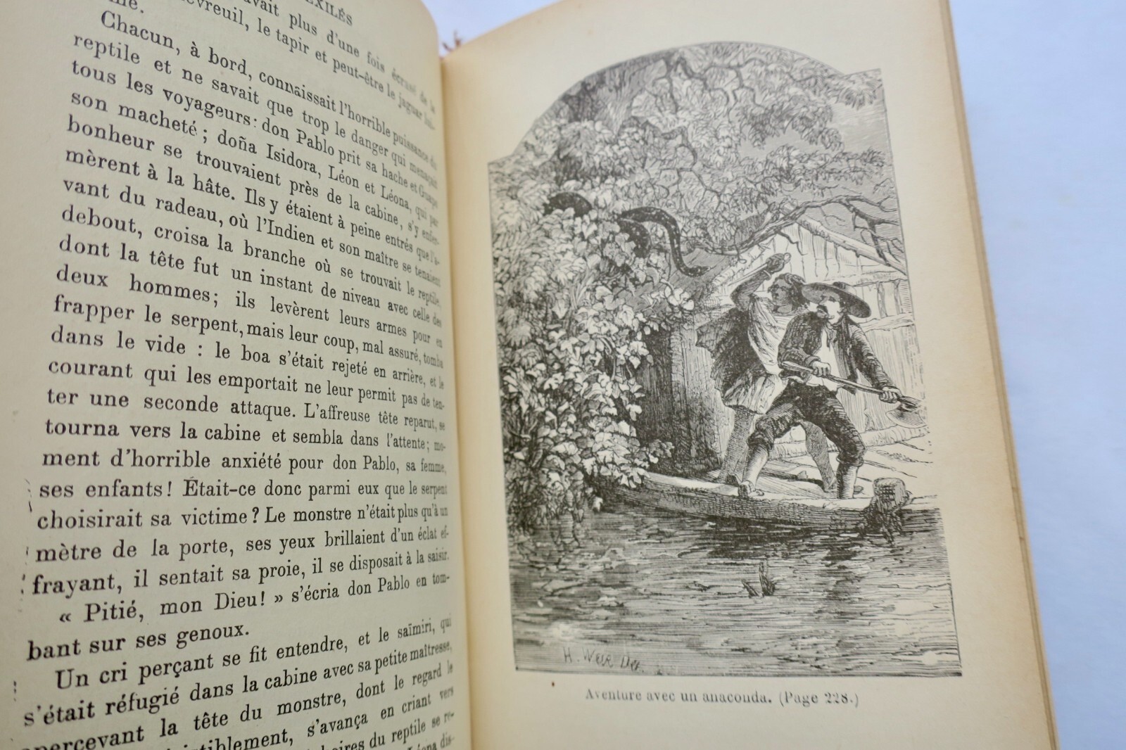 Fesselndes Abenteuer im Wald - Image 4