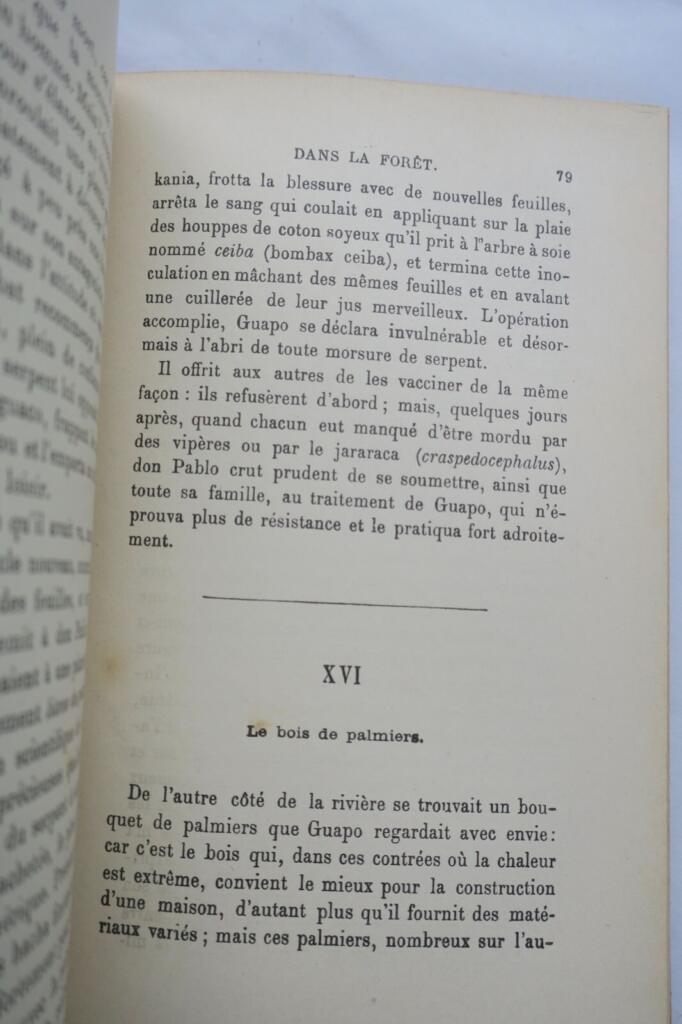 MAYNE REID CAPITAINE LES EXILES DANS LA FORET bib. rose