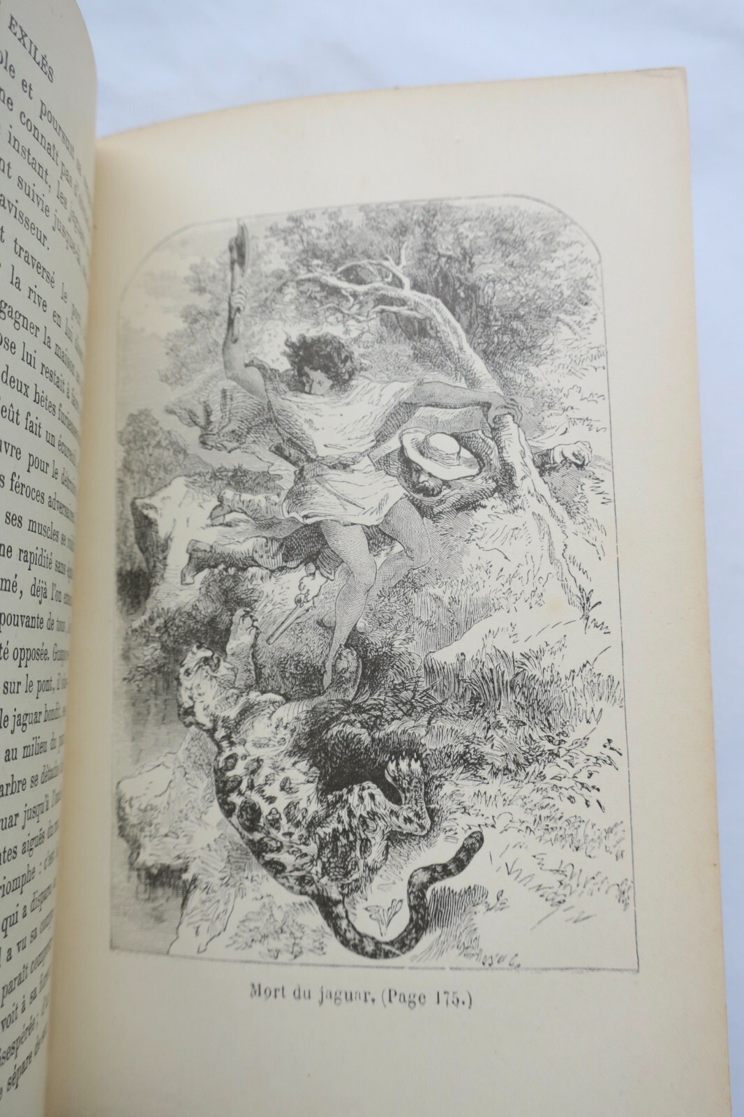 Fesselndes Abenteuer im Wald - Image 6