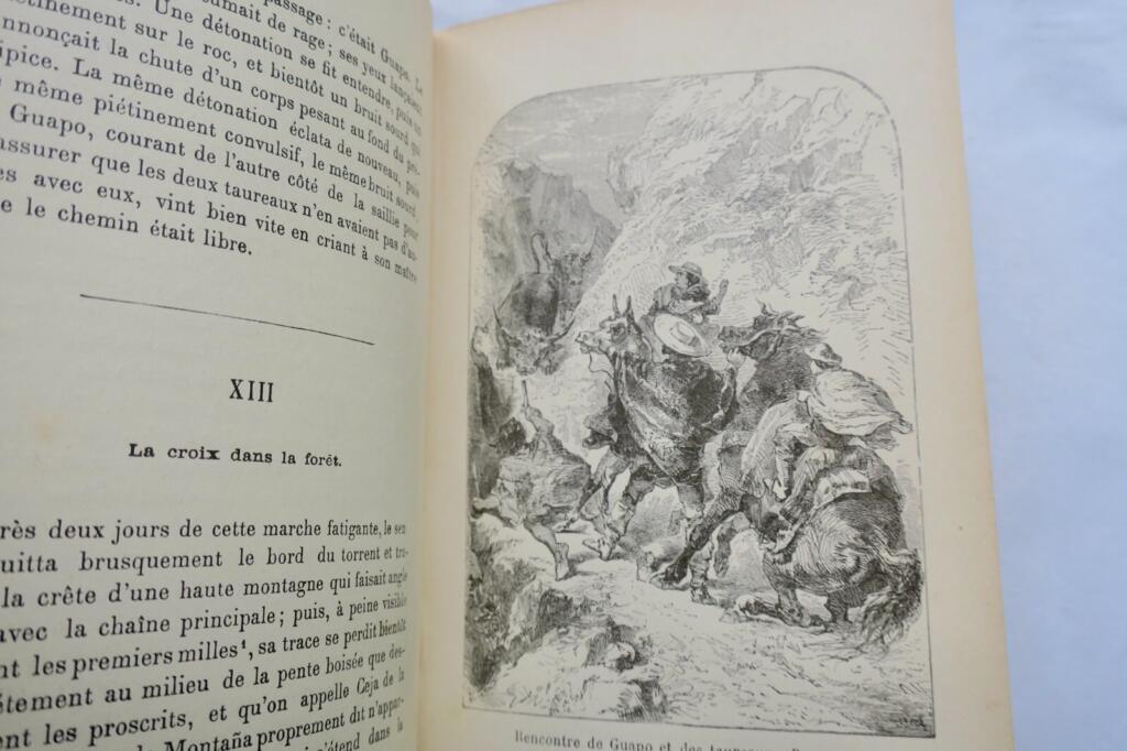 MAYNE REID CAPITAINE LES EXILES DANS LA FORET bib. rose