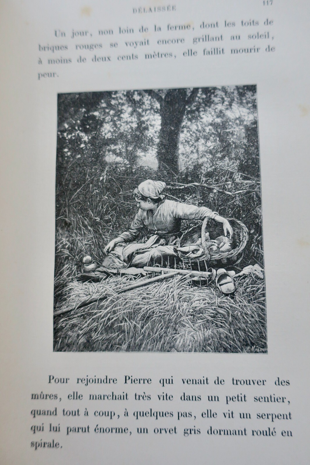 Die verlassene Frau - Image 6