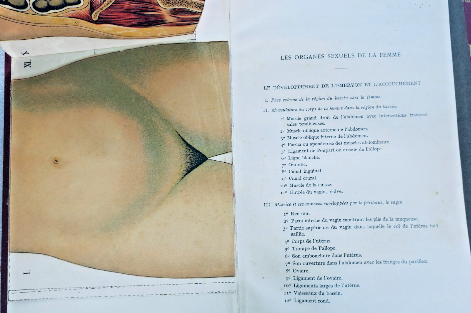Médecine MA DOCTORESSE GUIDE PRATIQUE D'HYGIENE ET DE MEDECINE DE LA FEMME 1937 – Image 17
