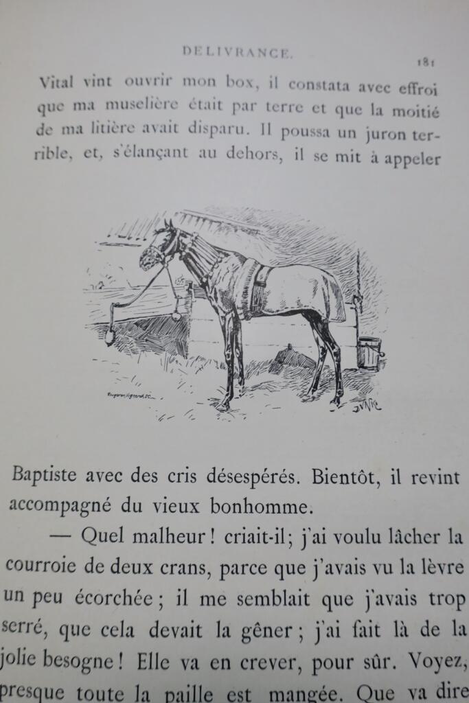 Memoiren von Léda, die Geschichte eines Pferdes