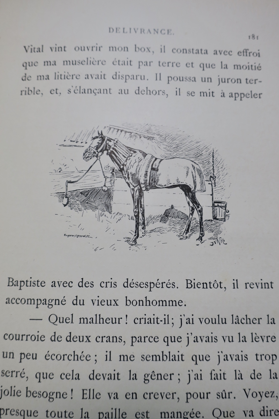 Memoiren von Léda, die Geschichte eines Pferdes - Image 3